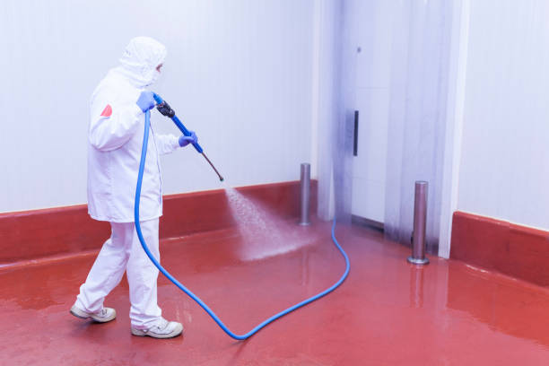 Best Dumpster Area Cleaning  in Paramus, NJ